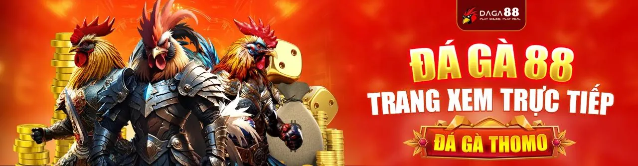 Sân đá gà chuyên nghiệp tại 8s game
